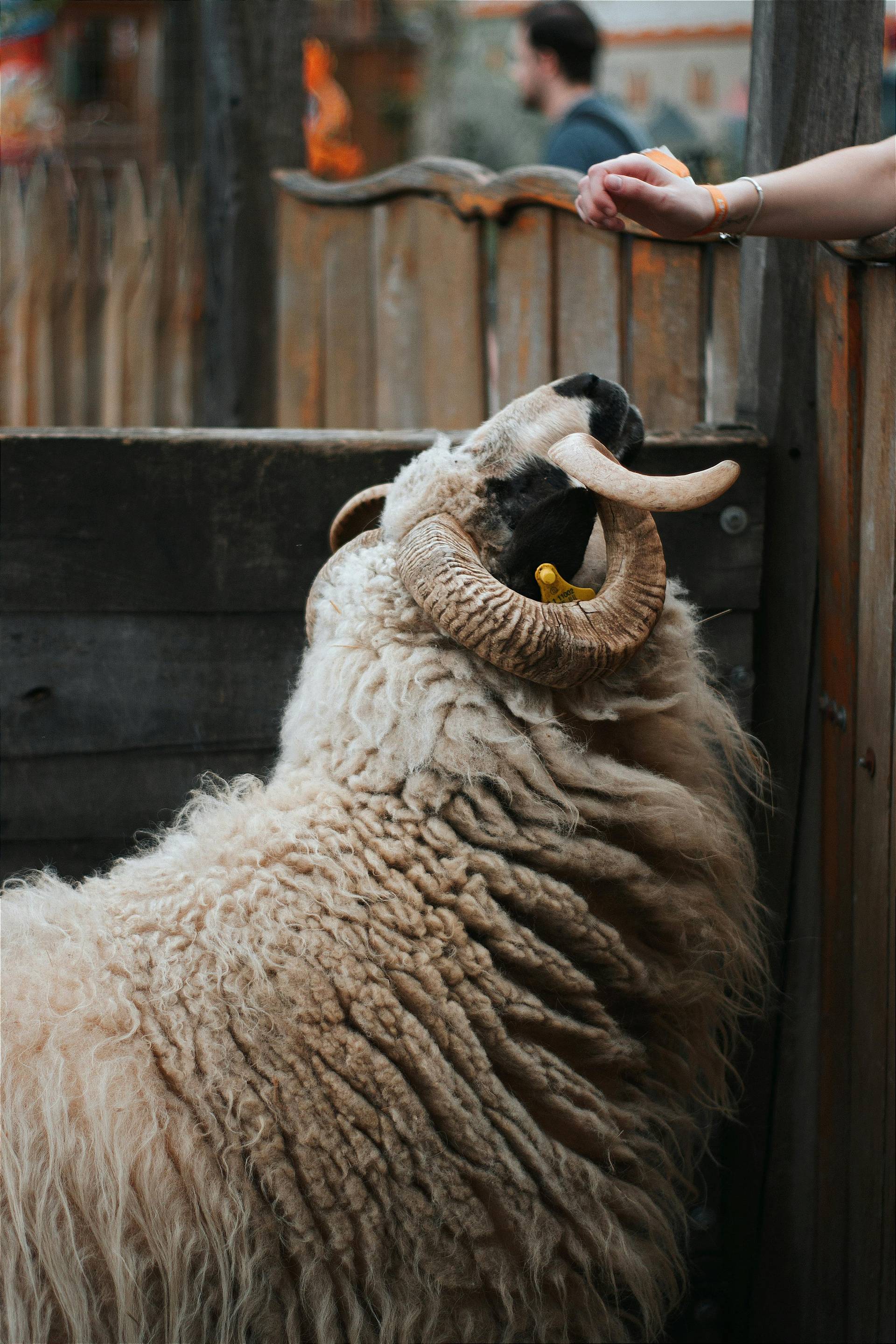  inner maverick awakening to warmth of truth