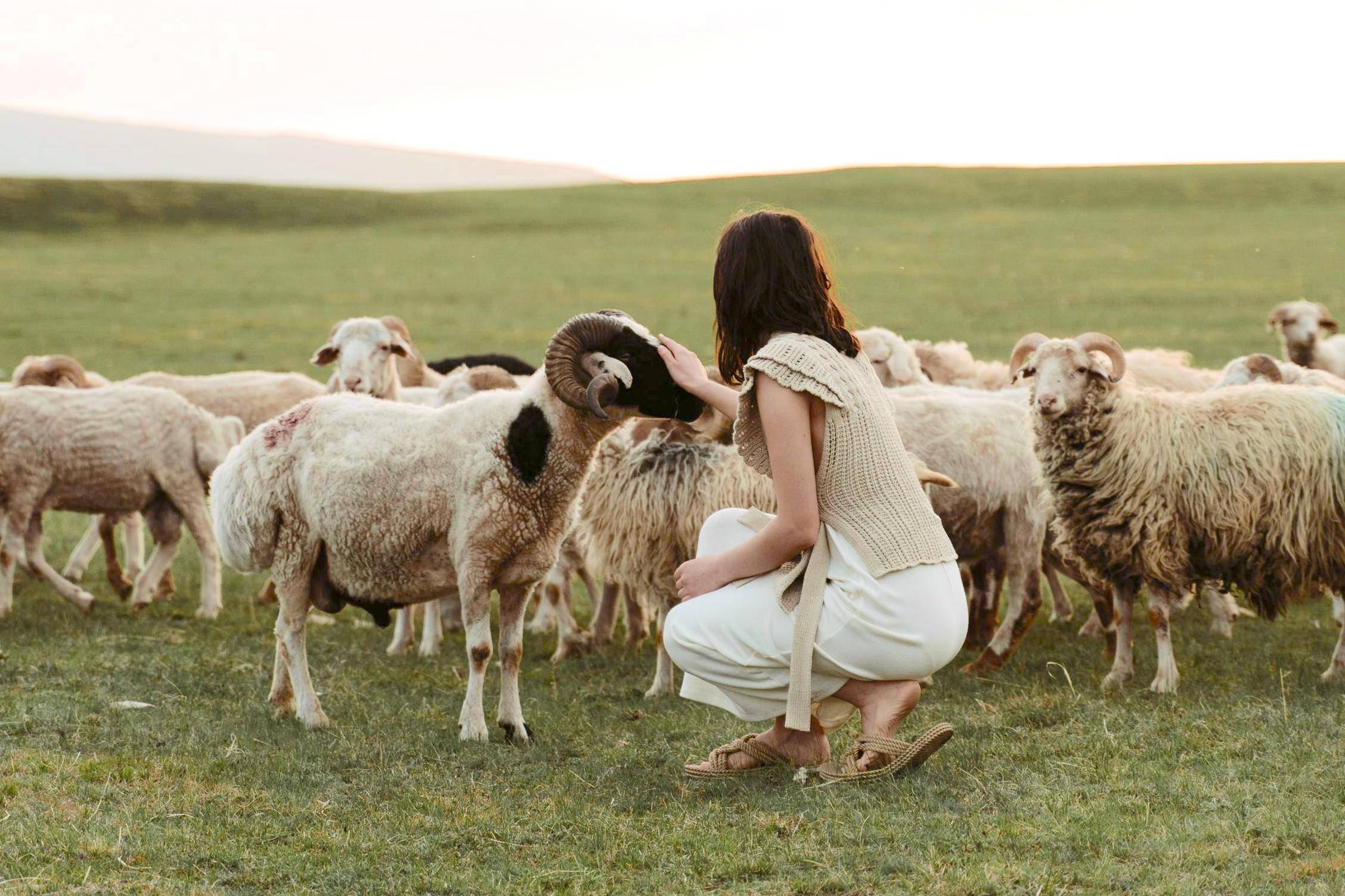 Inner Maverick attracting a hand of empathy for self